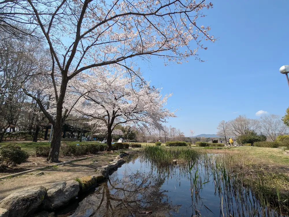 昆陽池公園 3