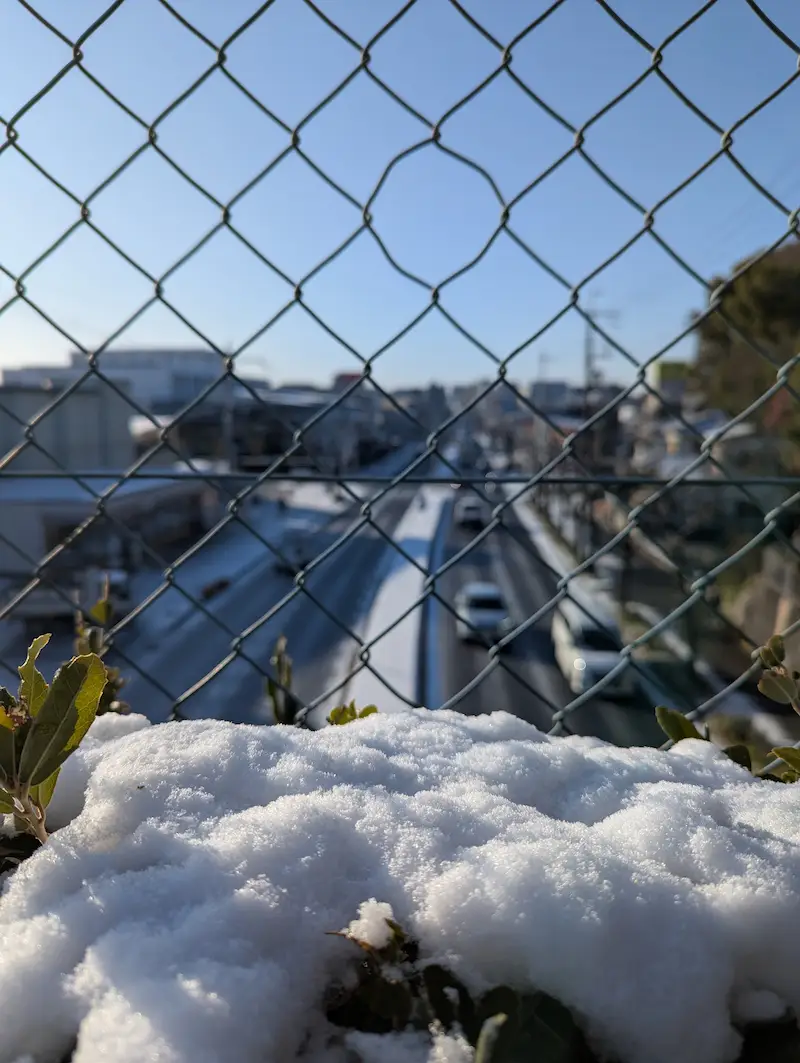 積もった雪のアップ