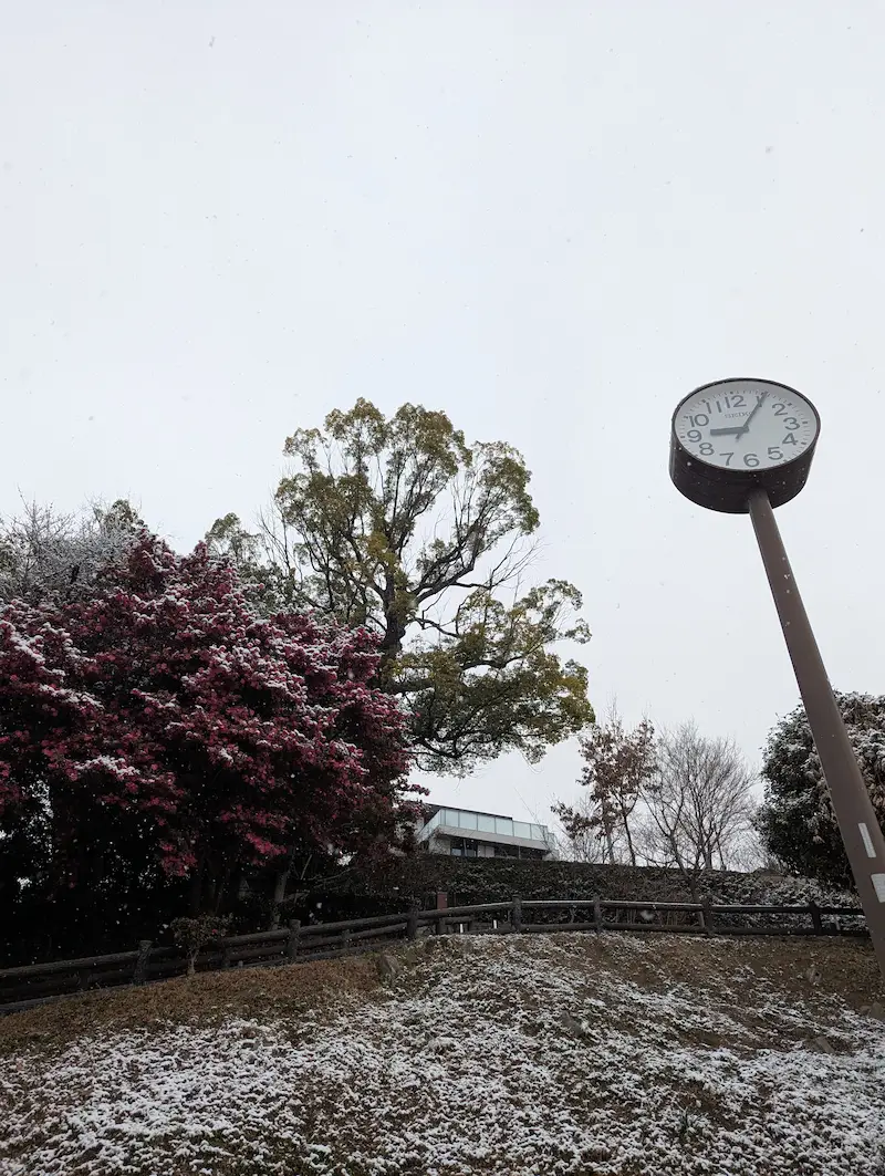 雪化粧した公園