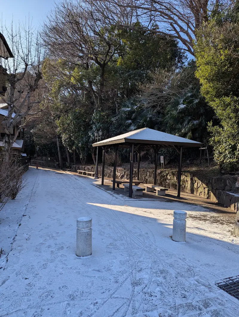 雪化粧した道