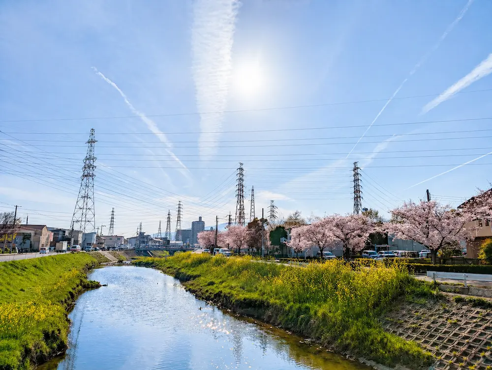 川向こうのケアハイツいたみと桜
