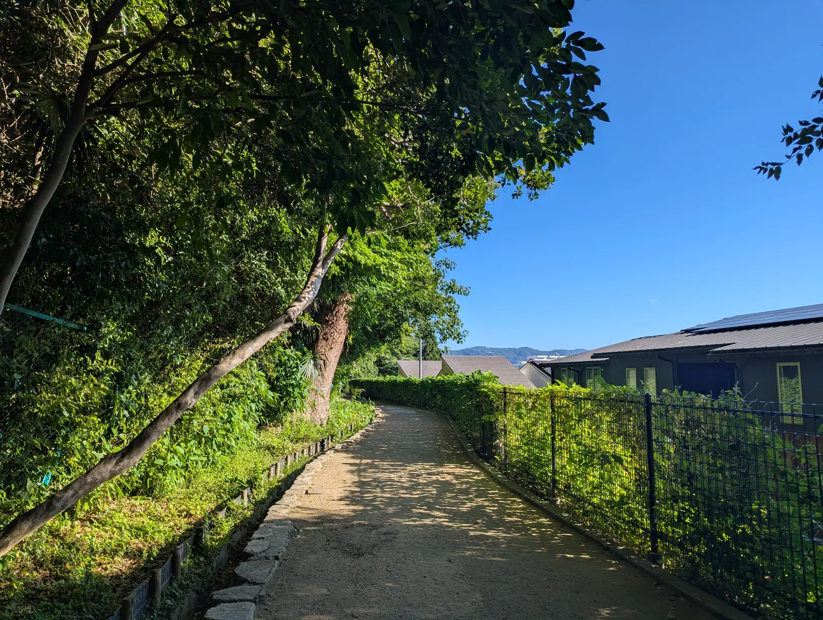 伊丹緑地の木々の間に広がる青空