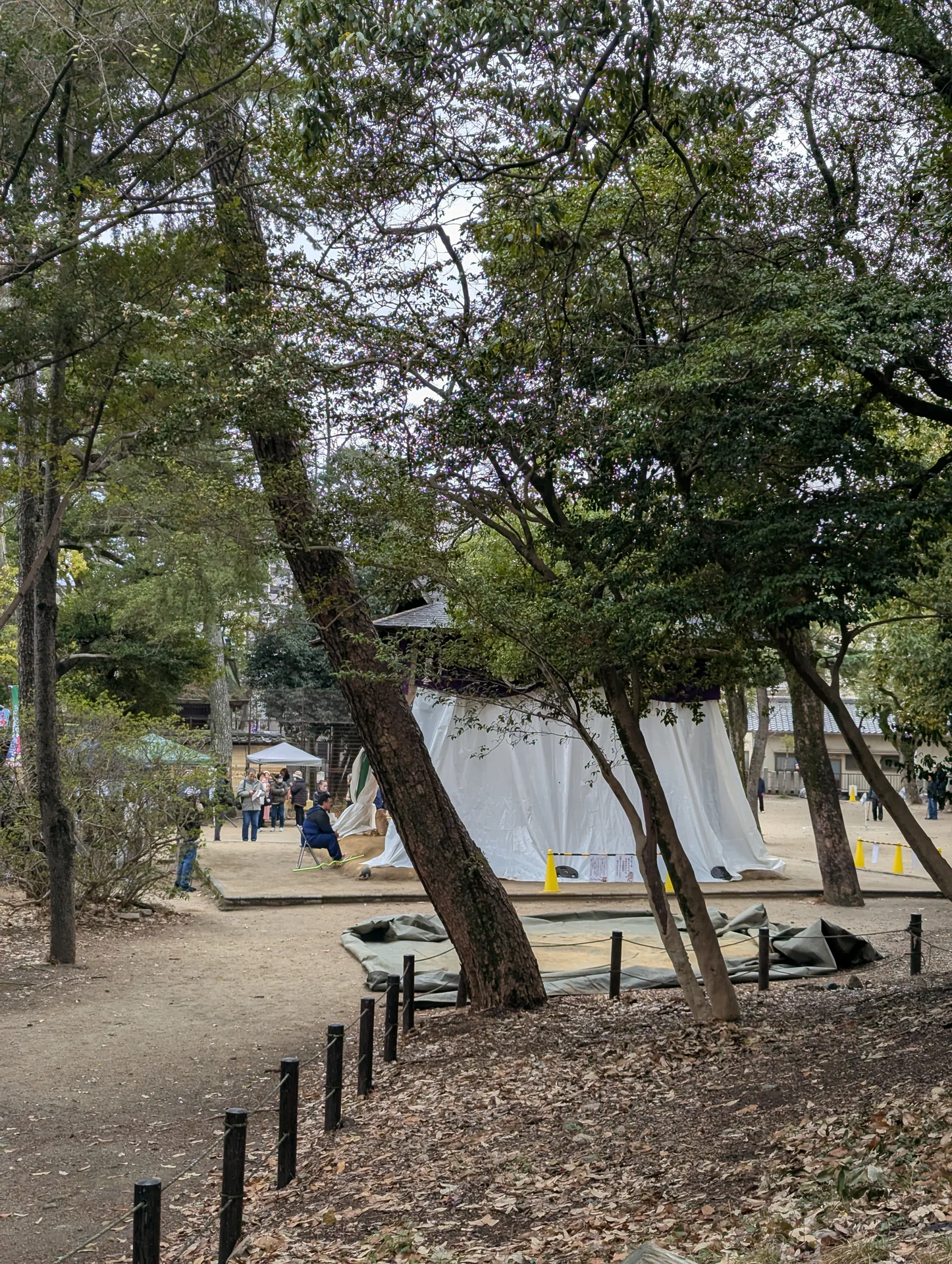 猪名野神社の木々越しに見える朝稽古の土俵と見学する人たち